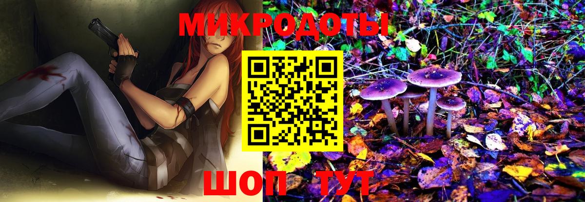 Галлюциногенные грибы Magic Shrooms  Вход с VPN  Бийск 