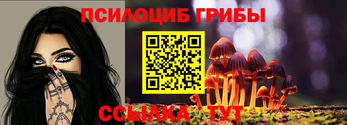 Галлюциногенные грибы GOLDEN TEACHER Бийск